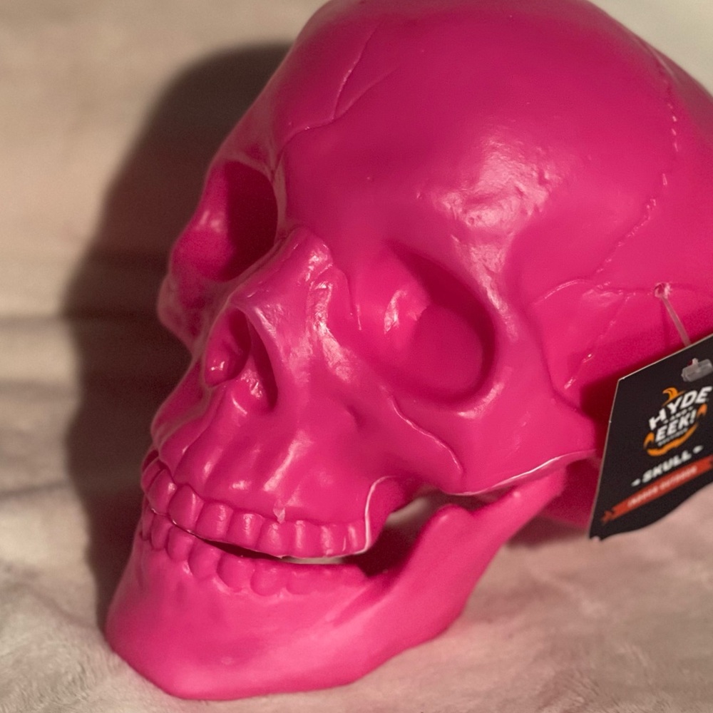 Plastic Skull 💀 - Picture 2 of 3